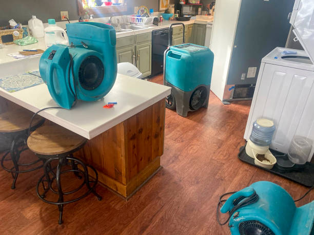 Best Water damage cleanup near me  in Shafer, MN