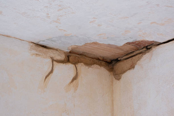 Trusted MN Water damage restoration Experts