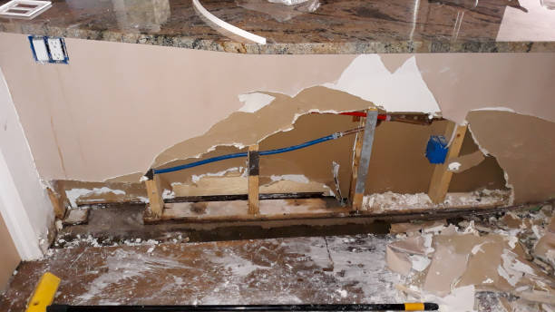 Best Water damage contractors near me  in Shafer, MN