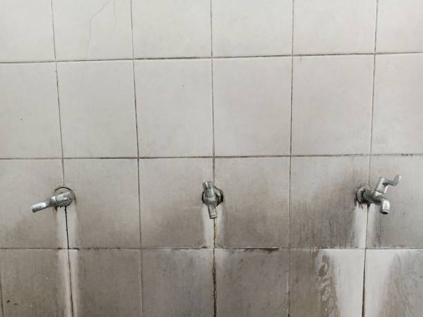 Best Flood restoration services  in Shafer, MN