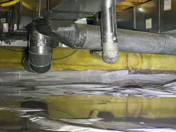 Best Emergency water damage restoration  in Shafer, MN