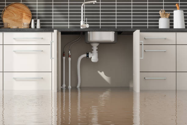 Best Commercial water damage restoration  in Shafer, MN