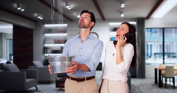 Best Residential water damage restoration  in Shafer, MN